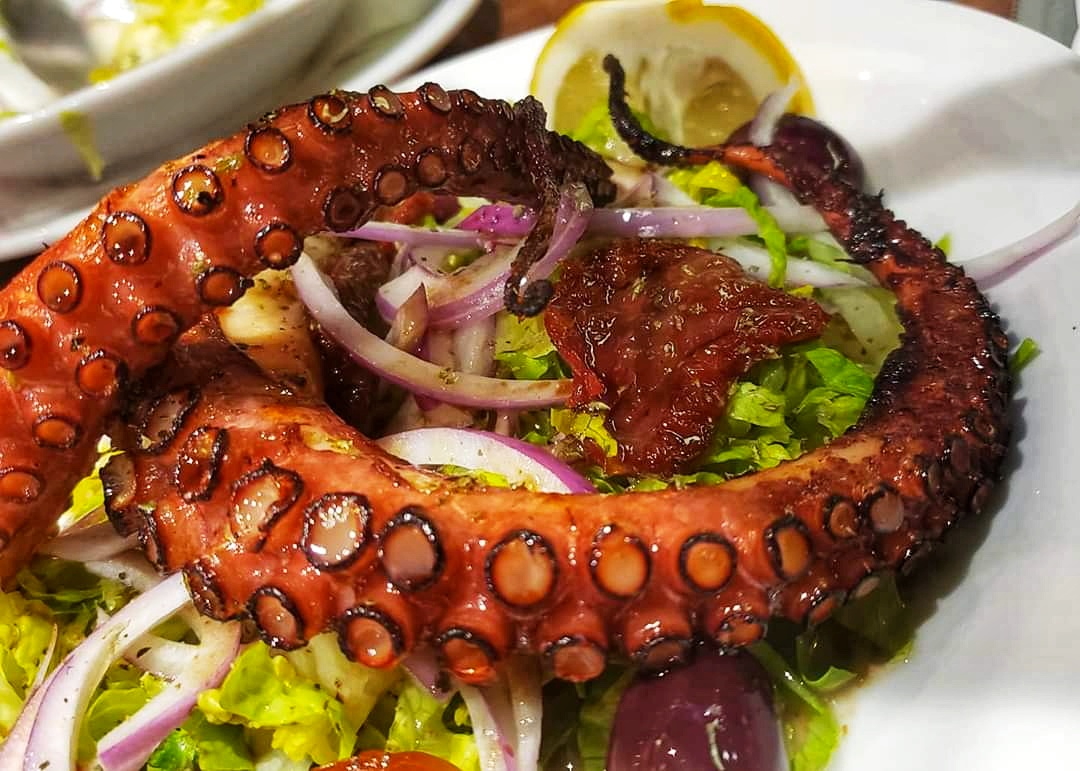 Grilled Octopus